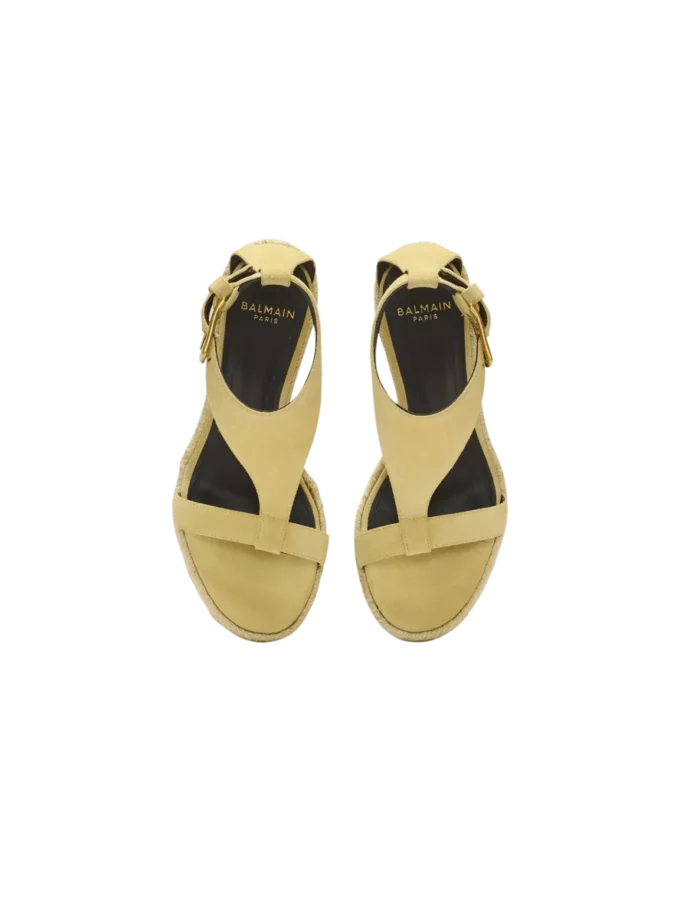 Anthem wedge espadrilles in suede
