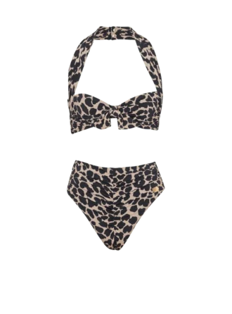 Two-piece leopard pattern swimsuit